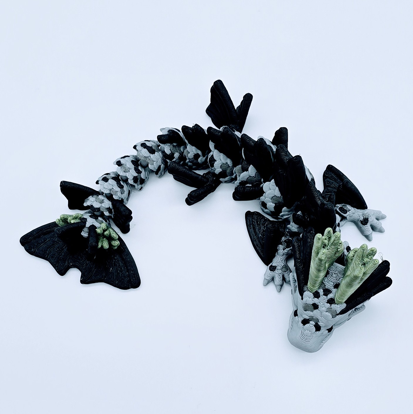 Koidrache Baby Ansicht 3